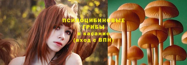 СК Белокуриха