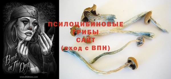 СК Белокуриха