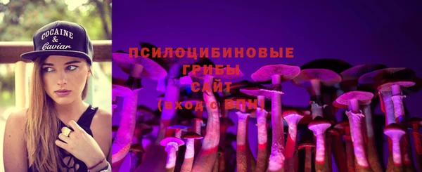 СК Белокуриха
