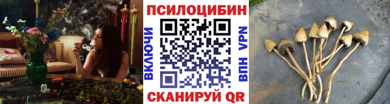 Галлюциногенные грибы Cubensis  купить  сайты  Среднеуральск 