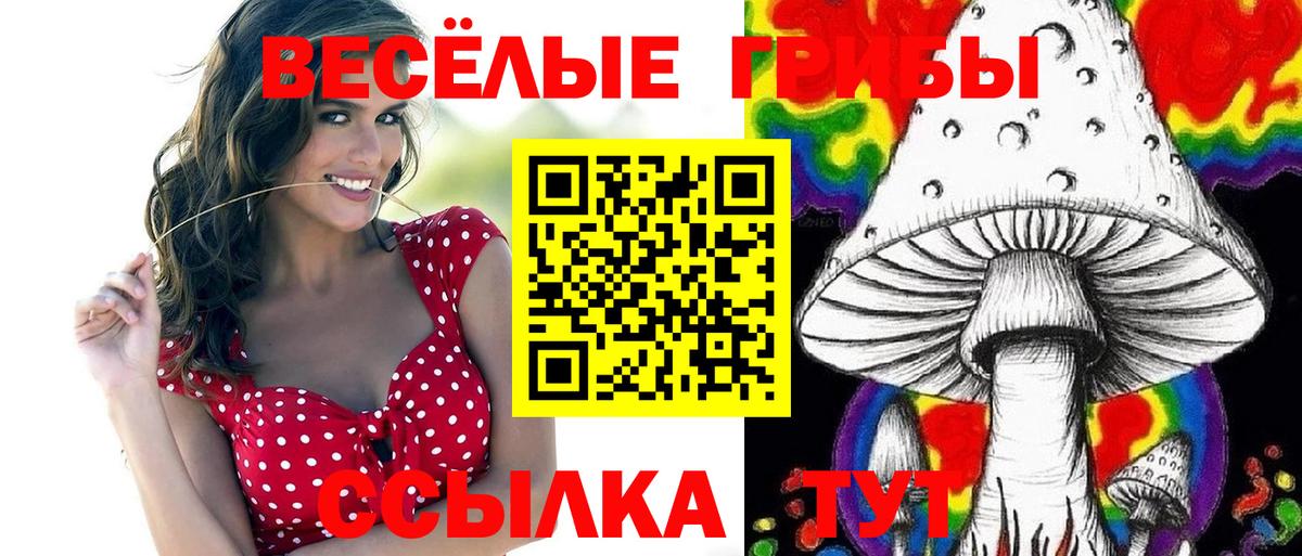 Псилоцибиновые грибы MAGIC MUSHROOMS  закладка  Вход с VPN  Среднеуральск  Псилоцибиновые грибы мицелий 